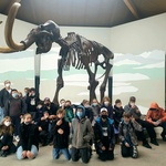 Besuch des Mammut-Museums