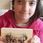 Kreativ sein in der Vorweihnachtszeit