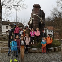 Mammut-Museum