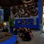 Mammut-Museum