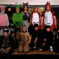 Musical/Sommerfest