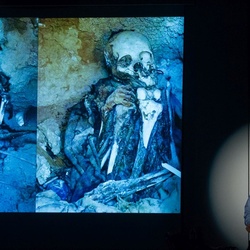 Atacama Anden Amazonas