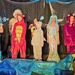 Musical und Sommerfest